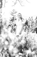 Kate-5243-2
